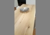 IMG-20180410-WA0045